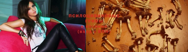 mdma Лиски