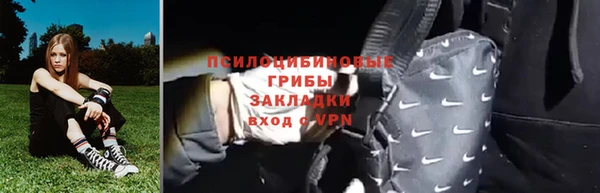 прущий лед Липки