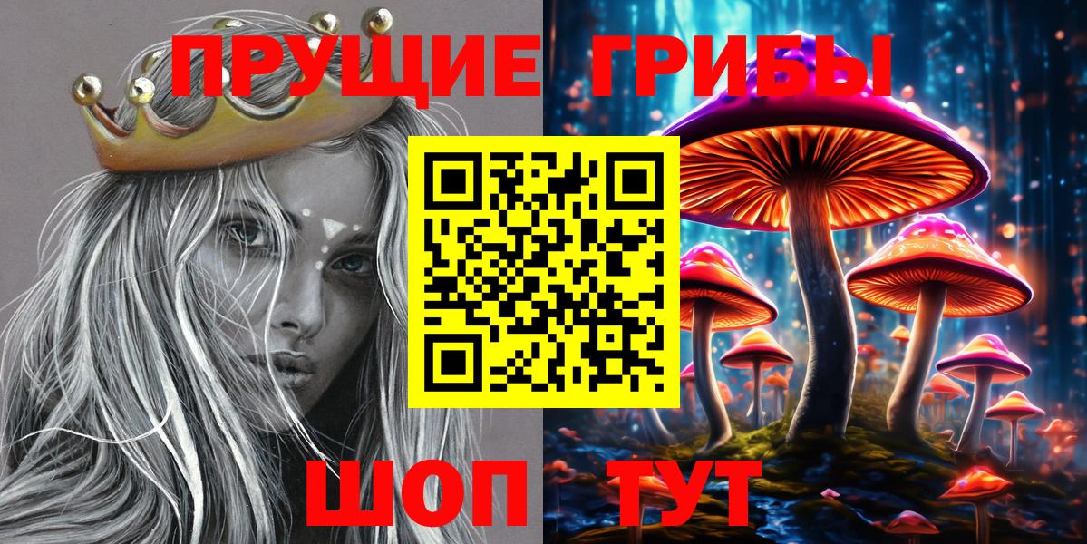Псилоцибиновые грибы GOLDEN TEACHER  продажа наркотиков  Череповец  Вход с VPN  Галлюциногенные грибы Psilocybine cubensis 