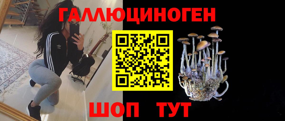 Галлюциногенные грибы мухоморы Череповец